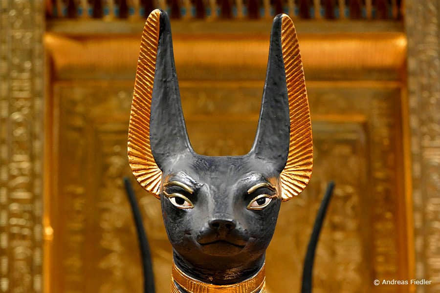 alte aegypten heilmittel