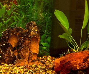 Unser Aquarium im Patientenraum
