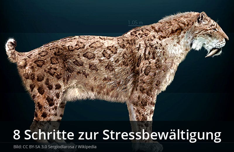 Stressbewältigung