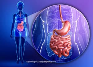 Leaky-Gut-Syndrom